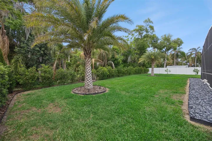 Fenced backyard