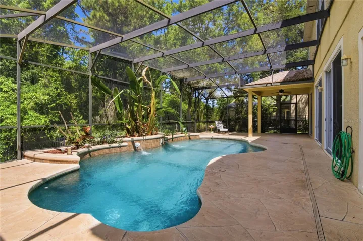 Sparkling pool with water features