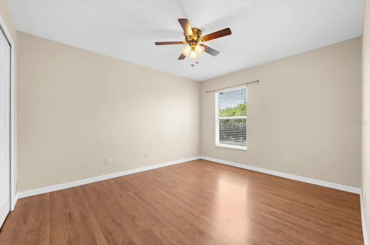 Large Bright Windows