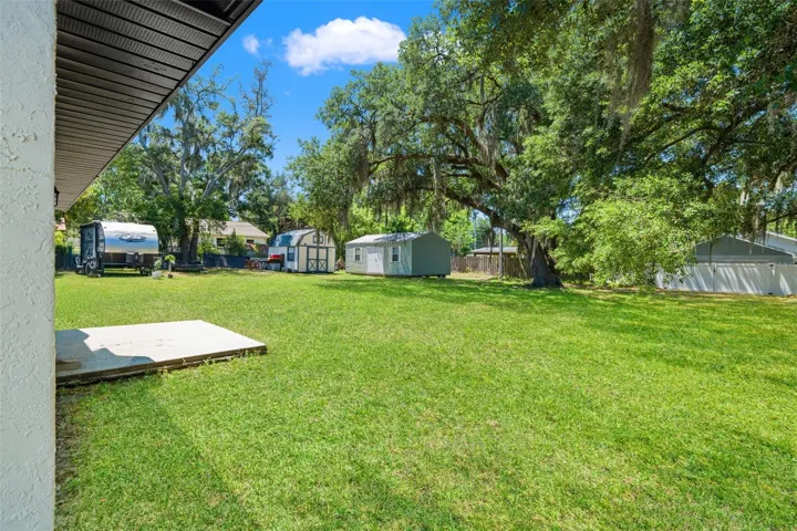 Backyard