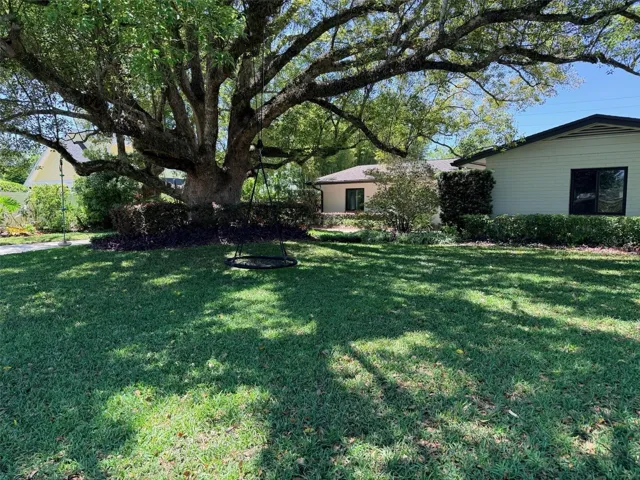 Front Yard