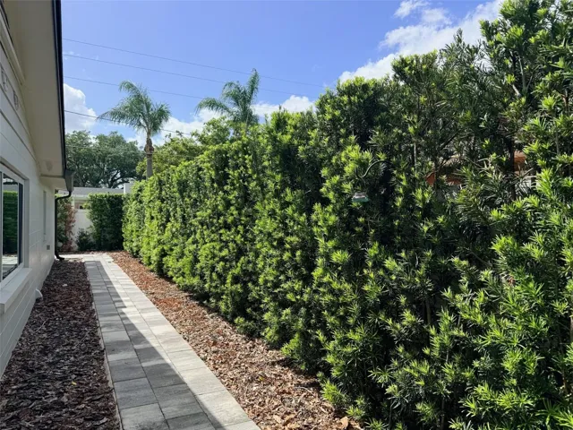 Mature hedges and pavers