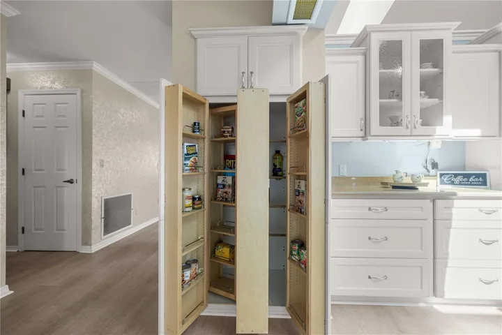 Amazing pull-out pantry