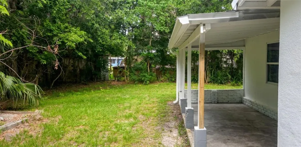 Backyard