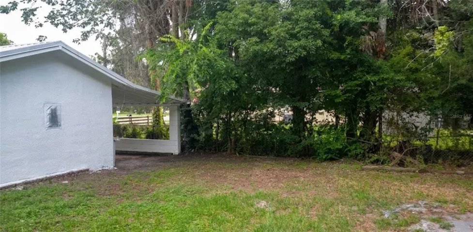 Backyard