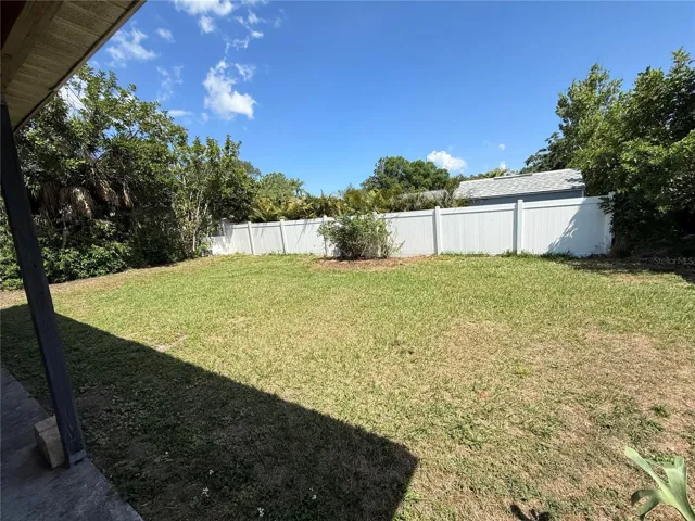 Back yard