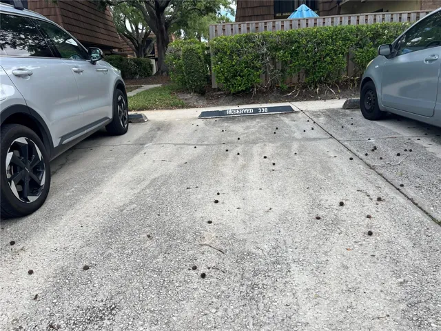 Parking space.