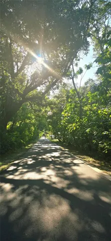 West Orange Trail behind the home