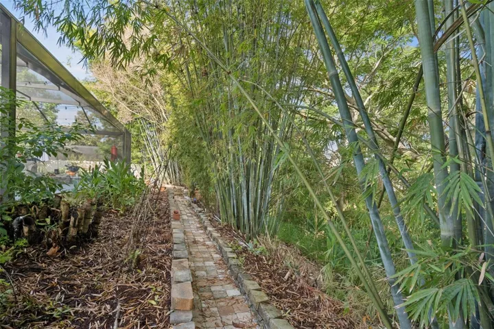 Section of the yard with walkway ext to Wildlife Ravine