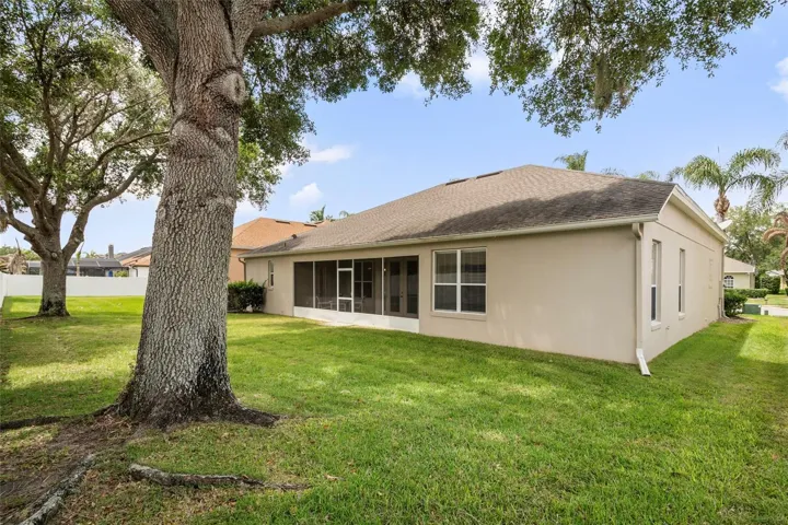 Backyard with mature Oak Trees