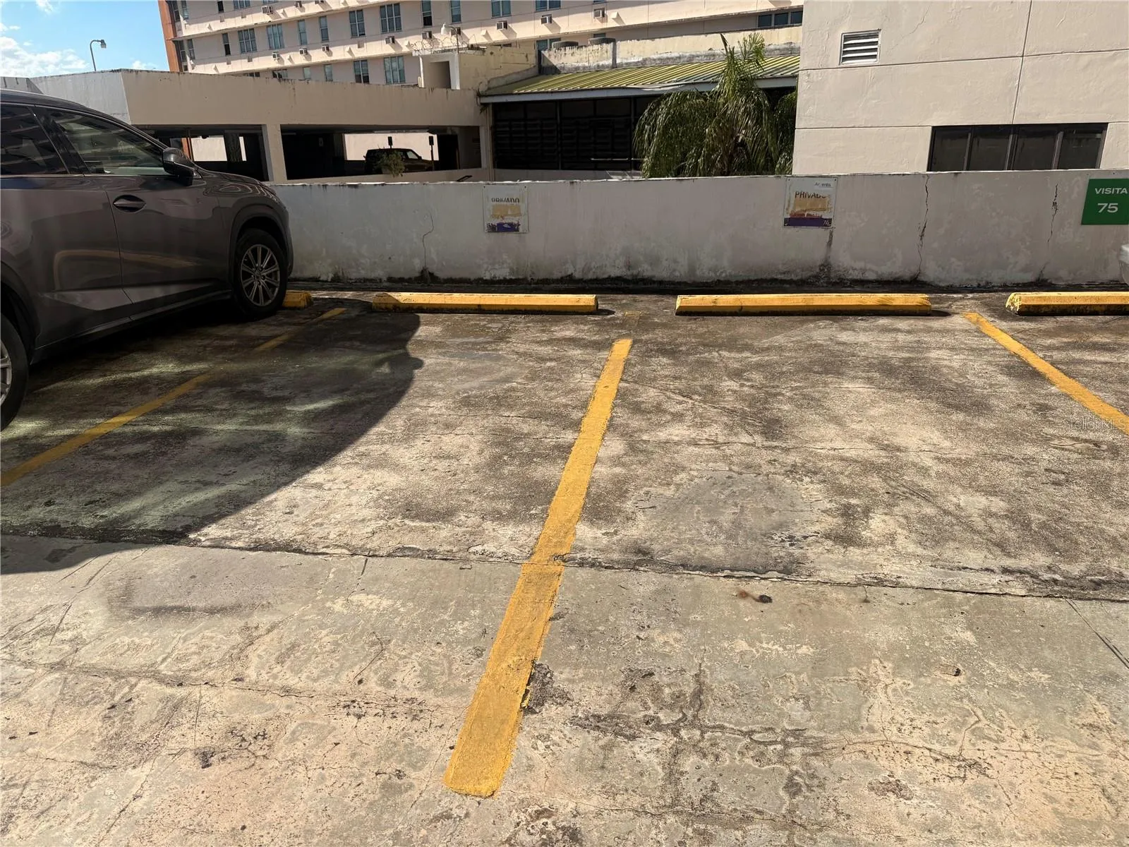 First lever pkgs spots