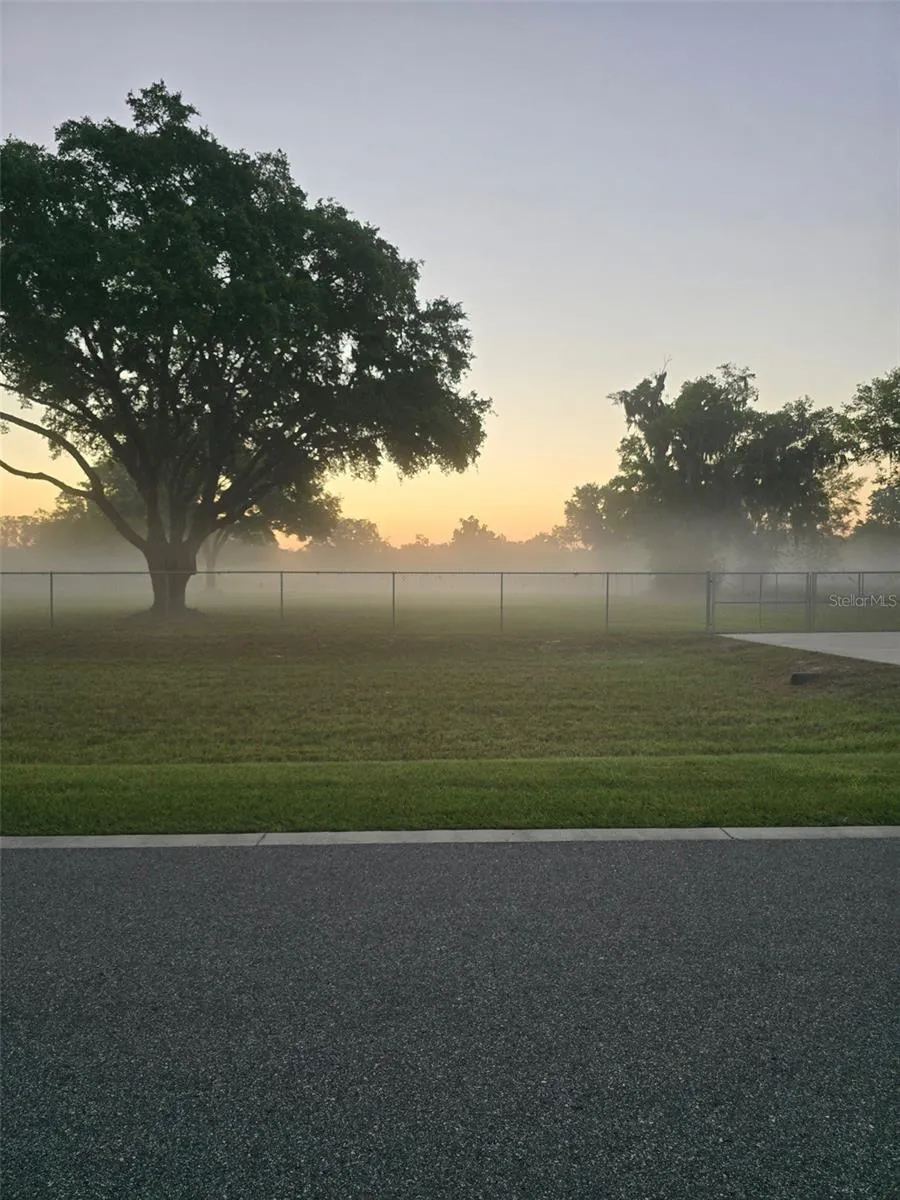 It’s a good Morning!