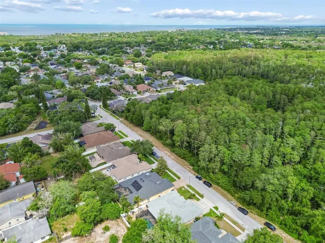 Adding to the peacefulness of this home, is the conservation area across the street...Notice the proximity to the Gulf in the distance?