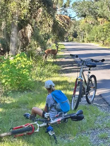 Local Bike Paths