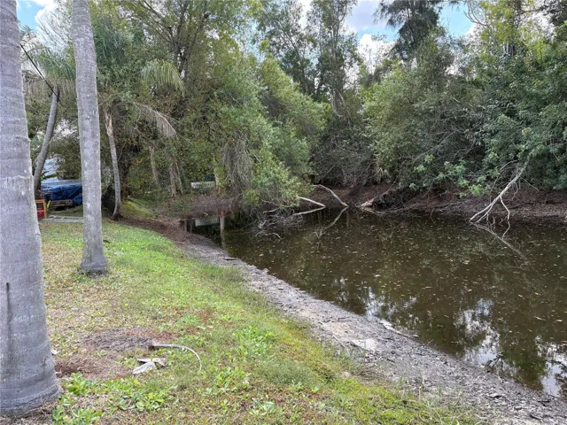 Pond
