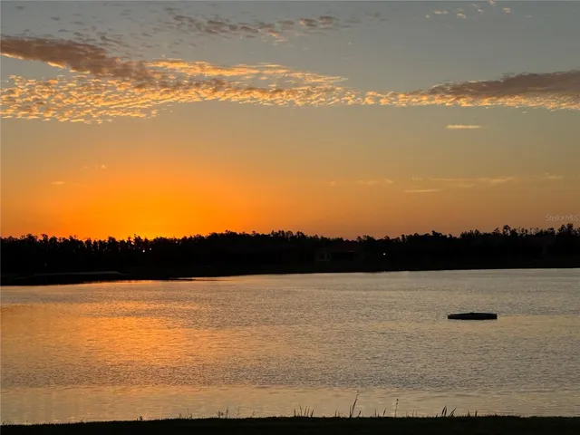 Morning Sunrise