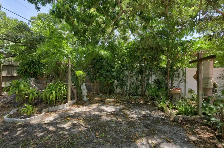 Backyard.