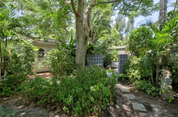 Backyard.