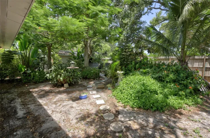 Backyard.