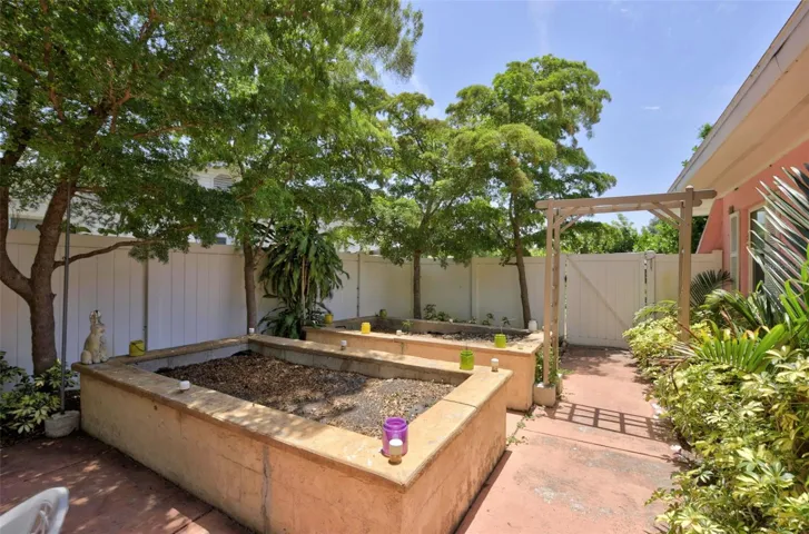 Backyard.