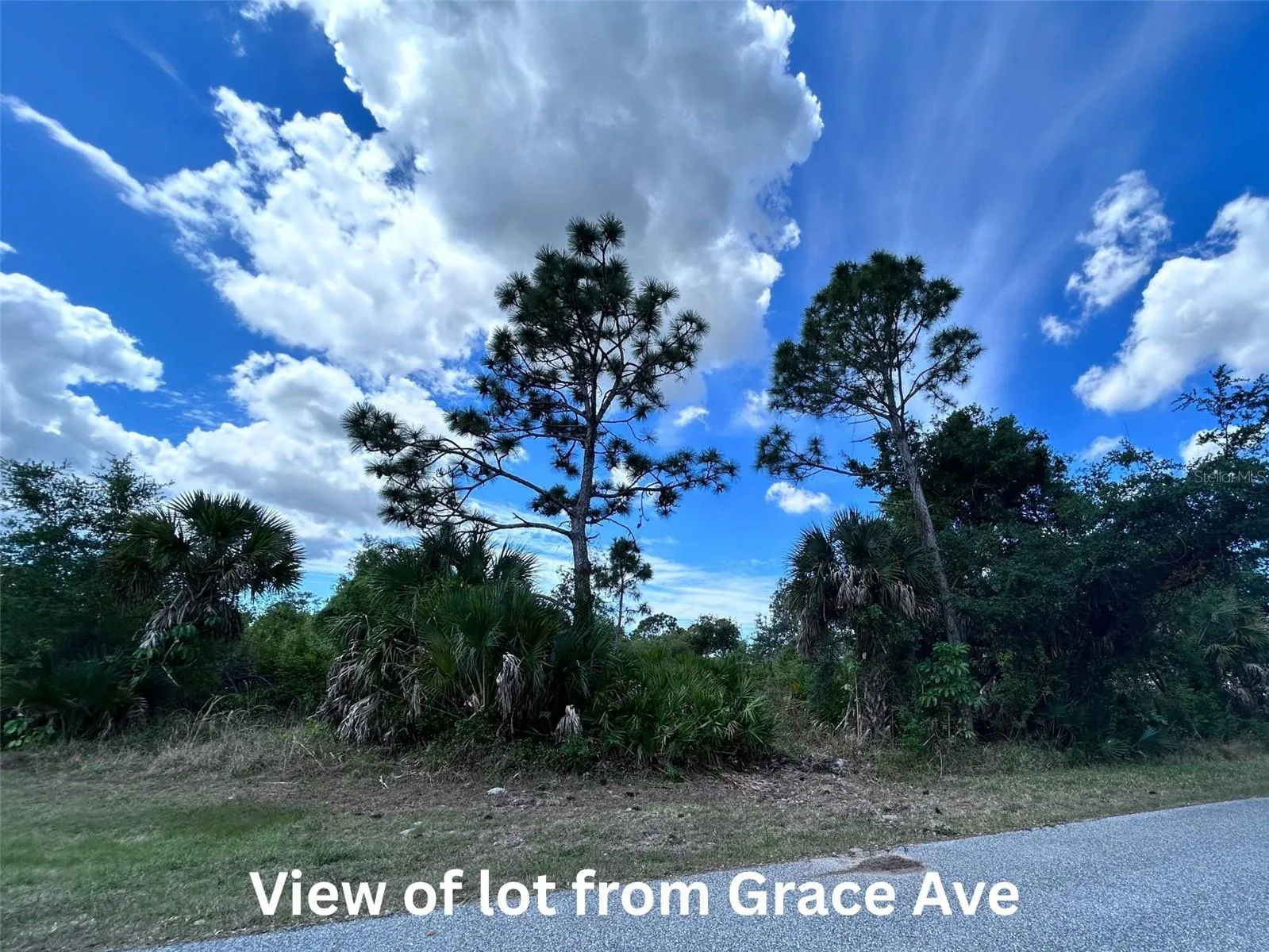 View from Grace Ave