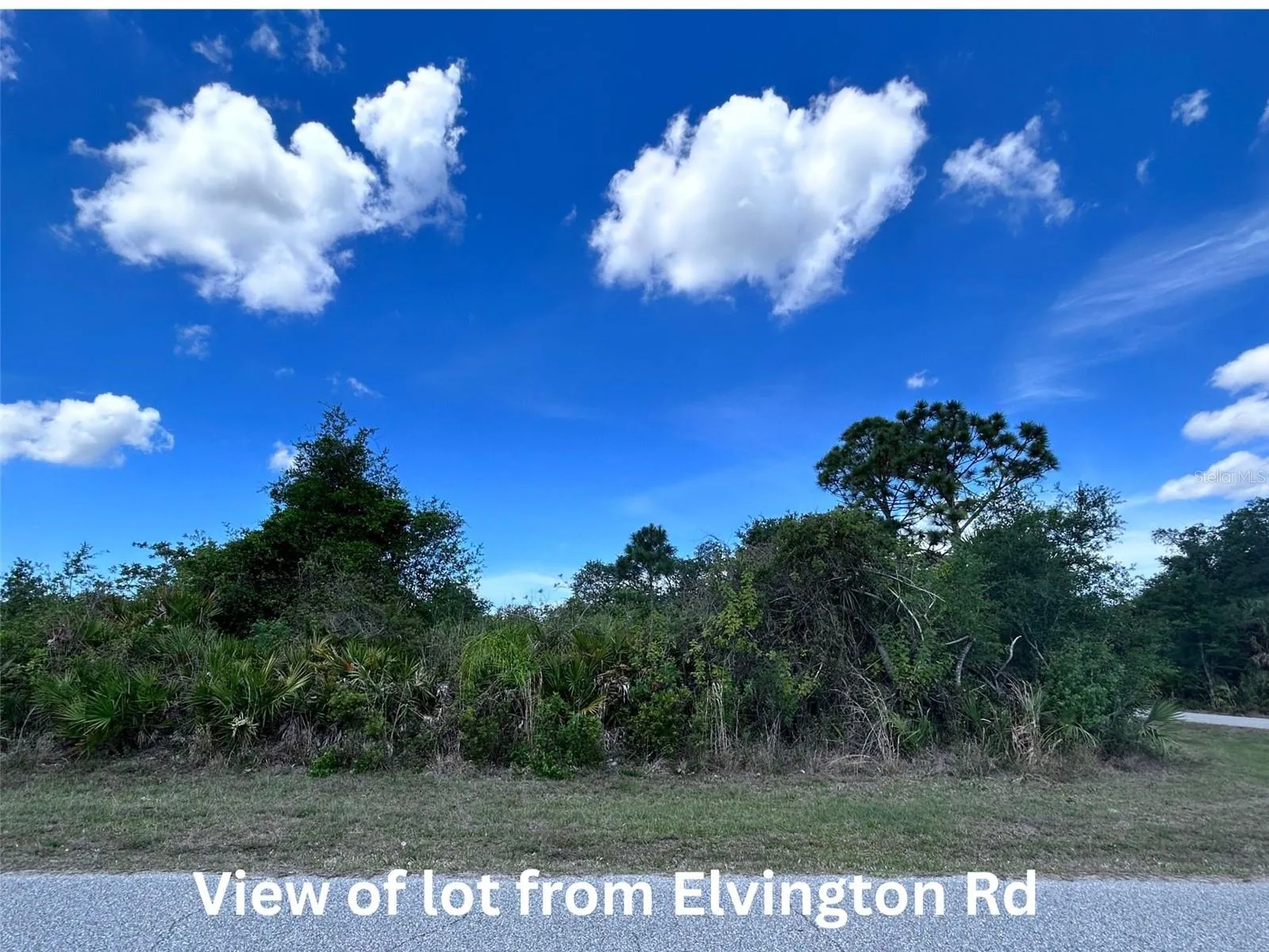 View from Elvington Rd