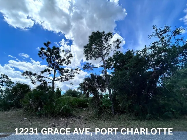 12231 Grace Ave, Port Charlotte, FL