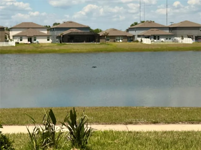 Pond View