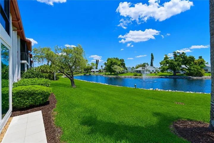 View from patio