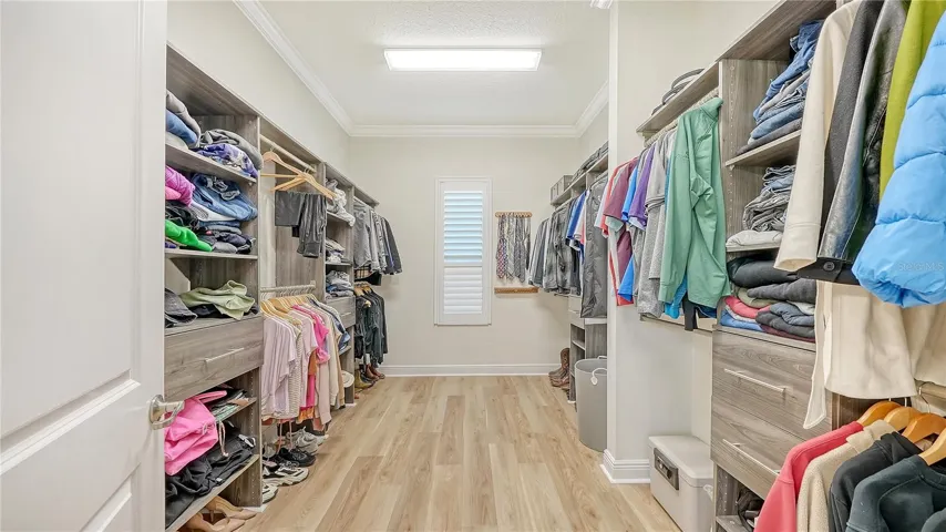 Primary custom closet