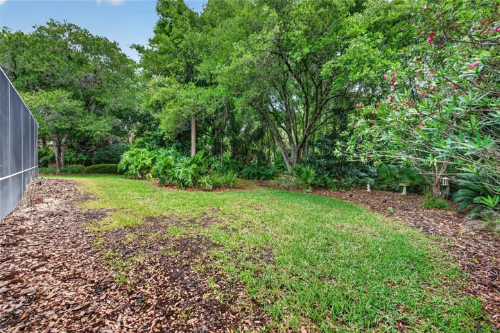 12 Foxfords Chase Backyard