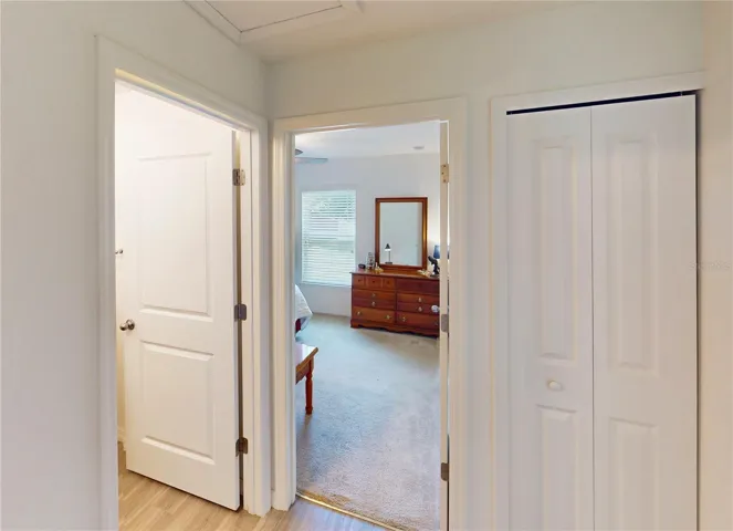 Large Linen Hall Closet