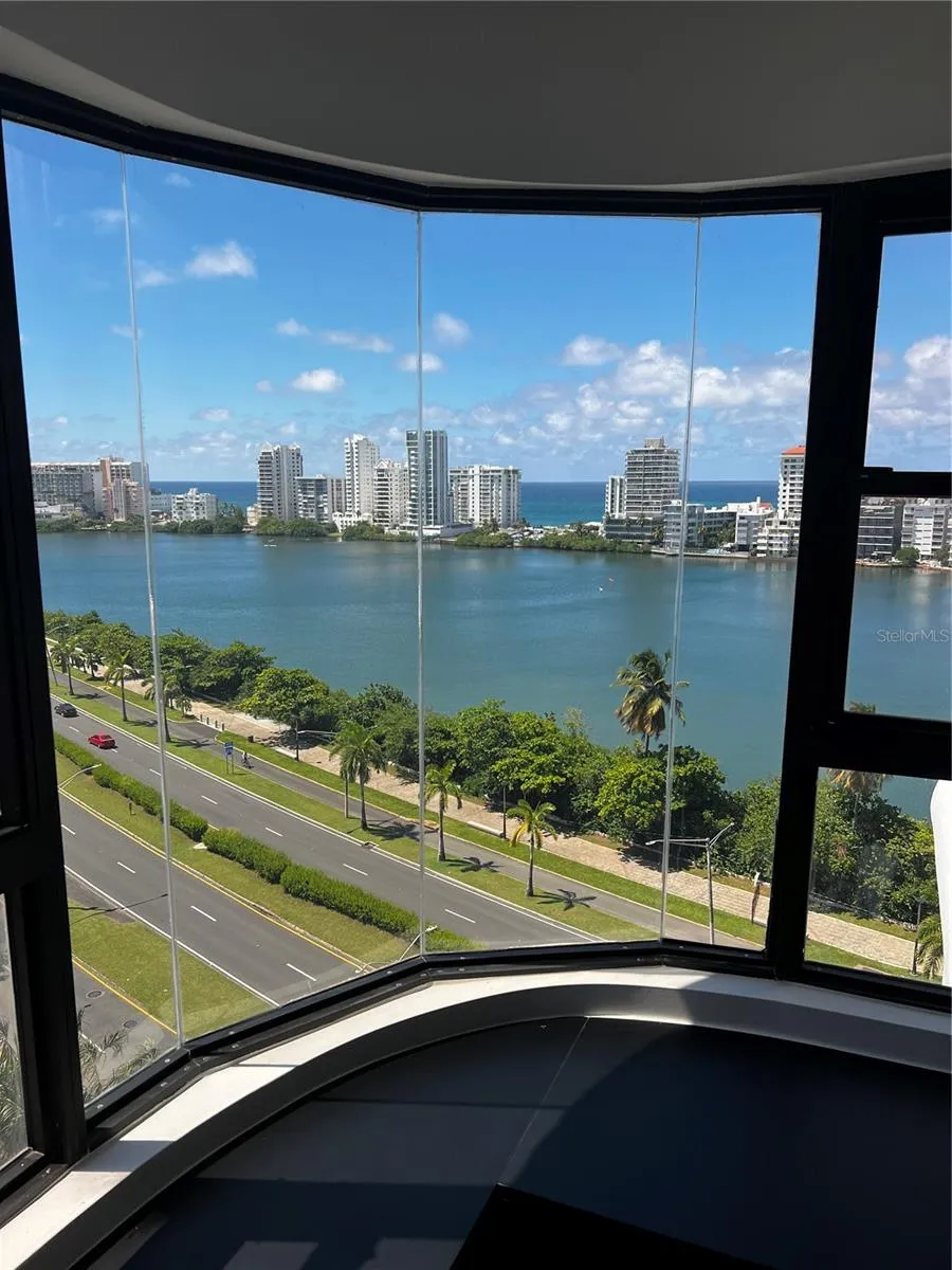 View from the kitchen!