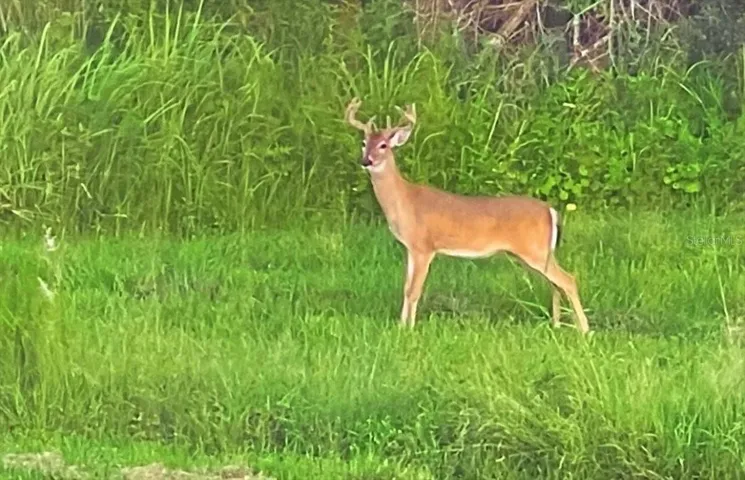 1170