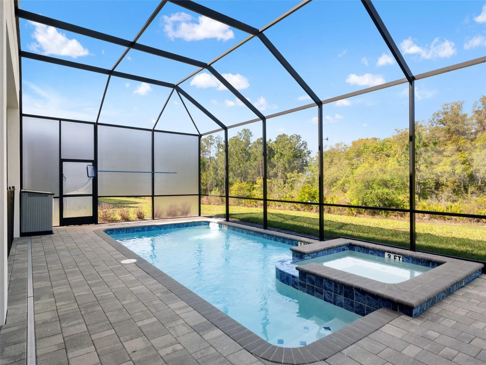 Luxurious pool with spa