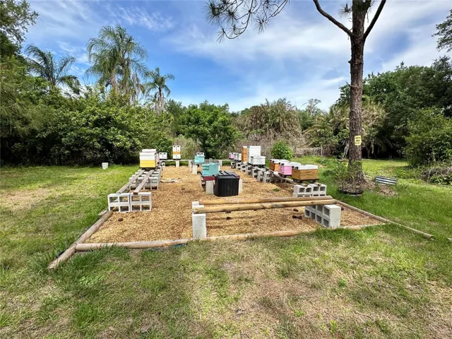 Apiary in Pasture