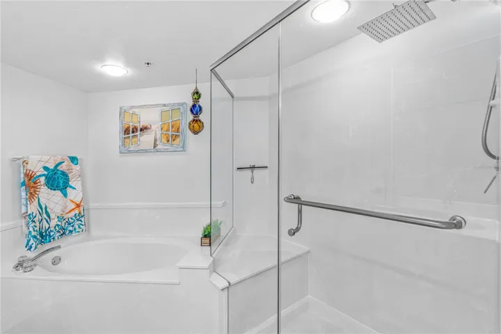 Primary Bath Shower/Tub