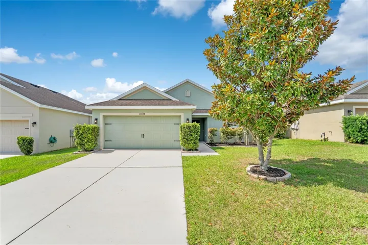 30838 Water Lily Drive, Brooksville