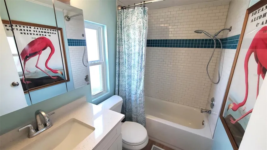 Guest bath-tub/shower