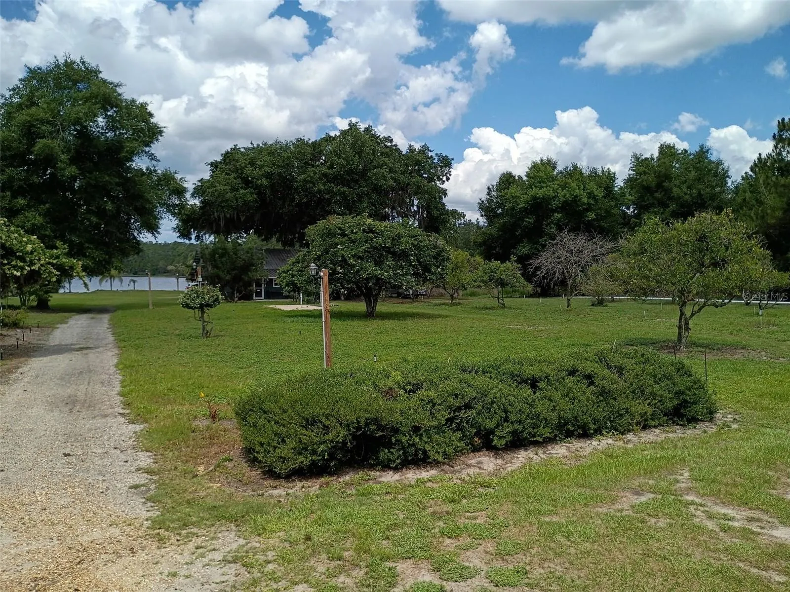 Yard view towards the lake