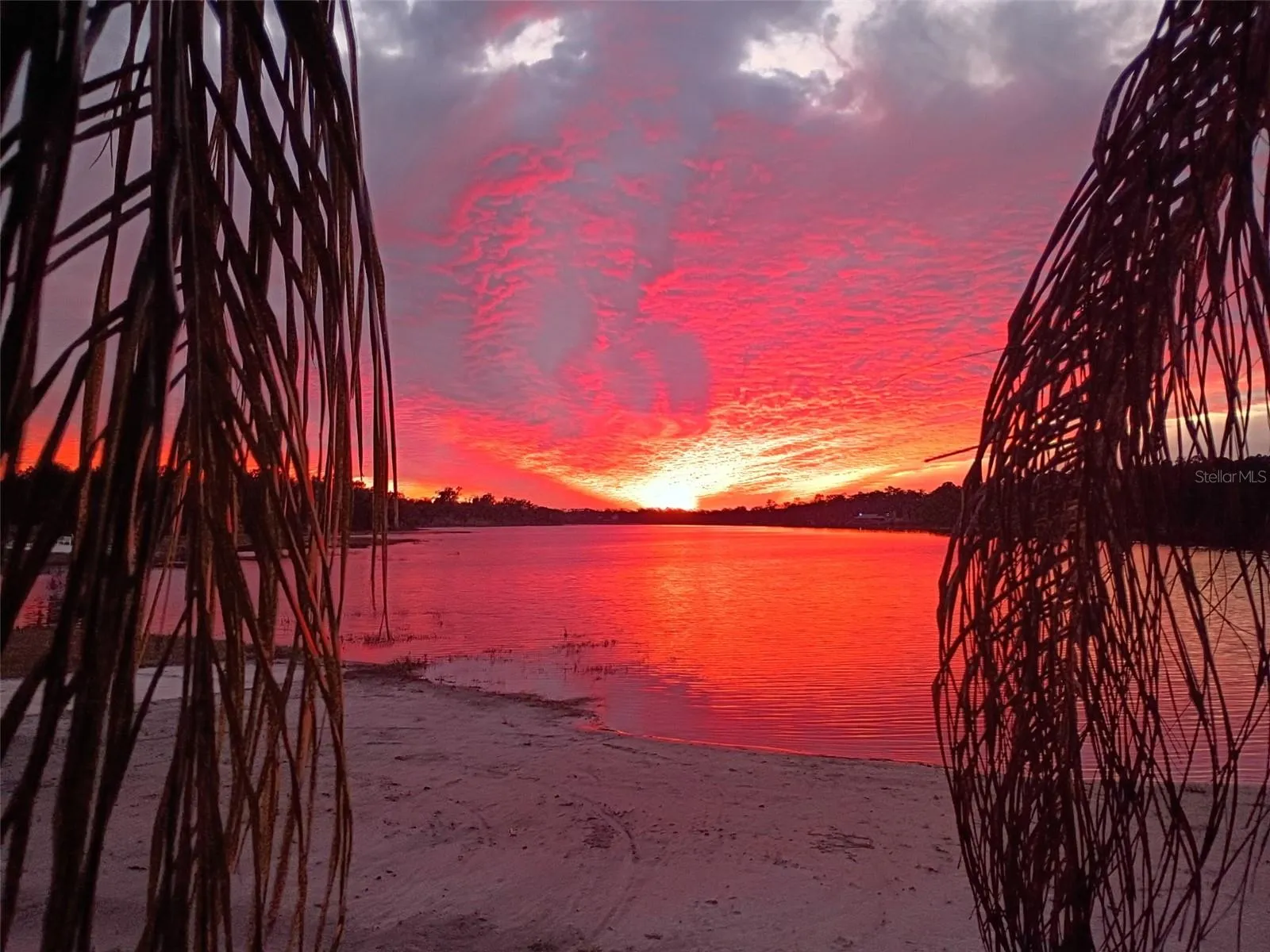 Sunsets from the Beach