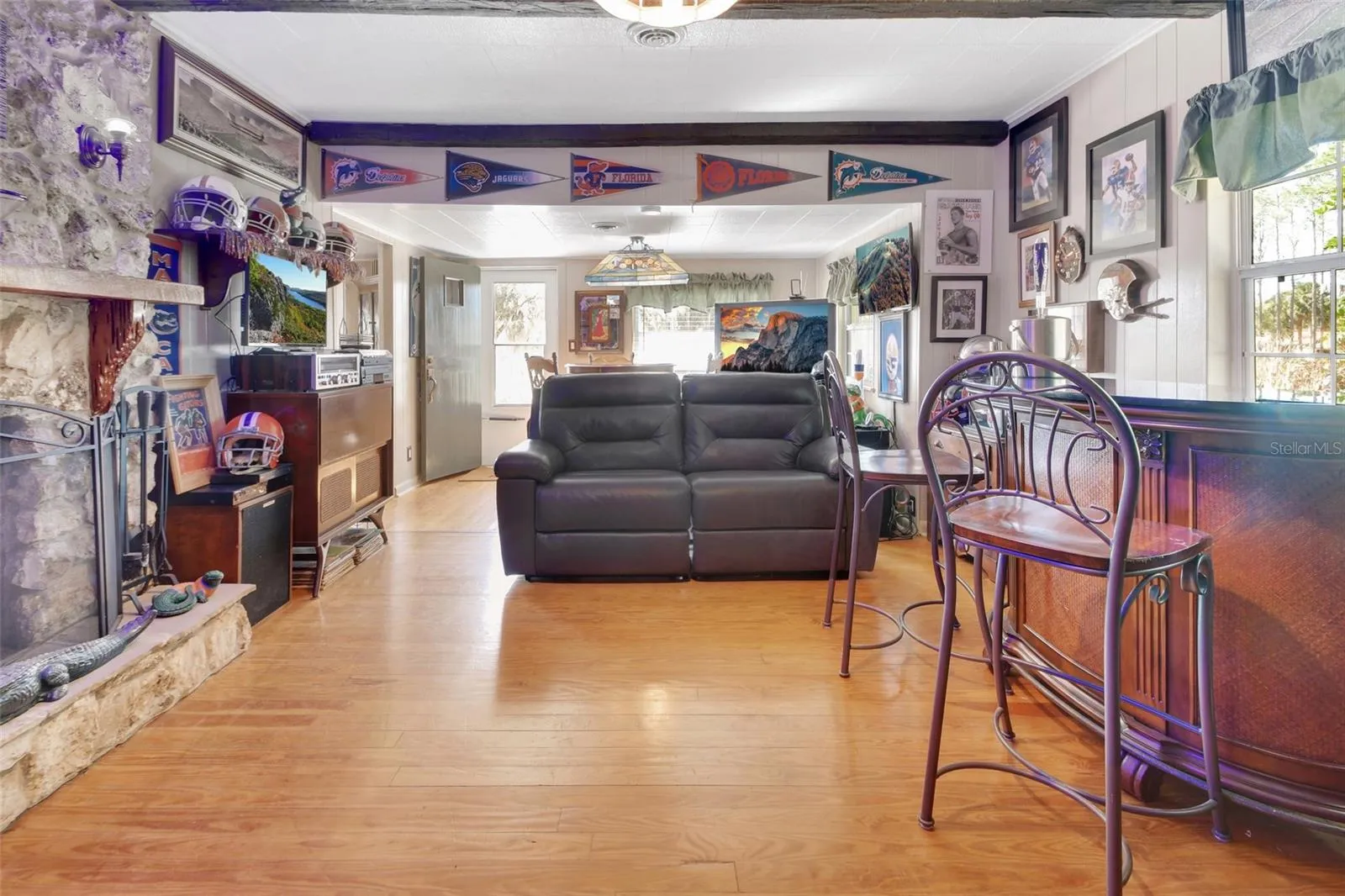 Entertainment Room