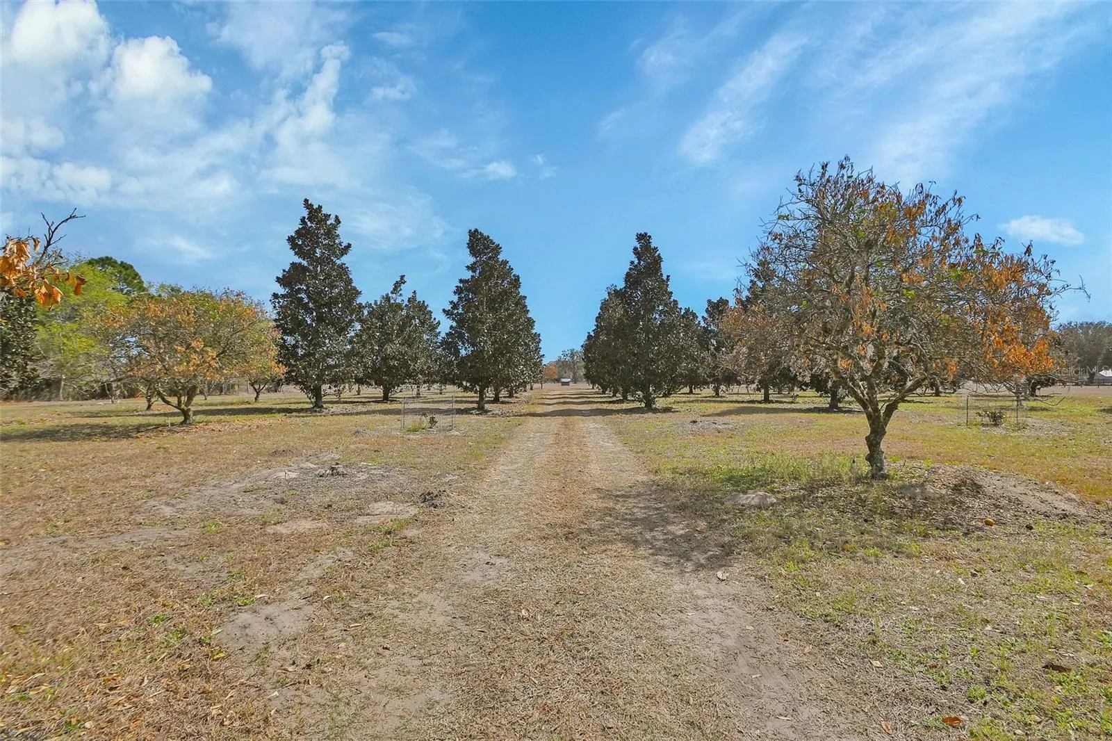 Driveway Entrance