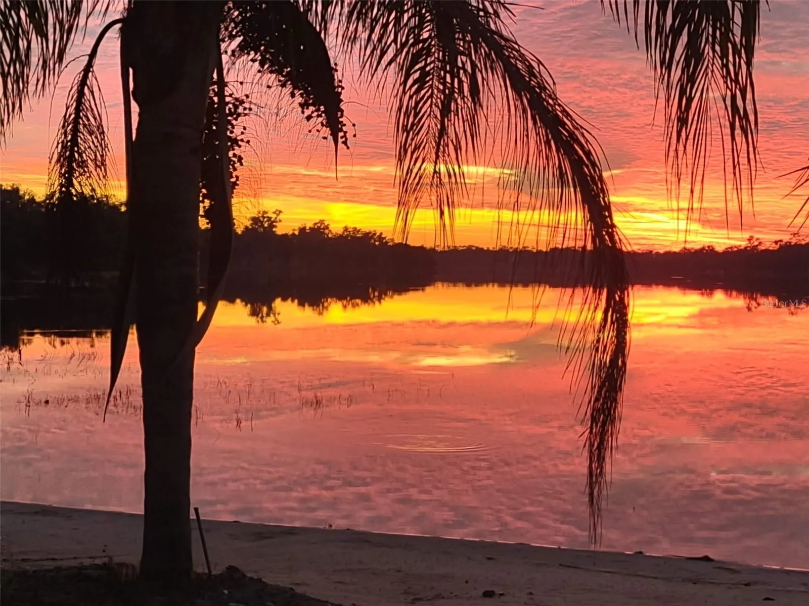 Amazing Sunsets