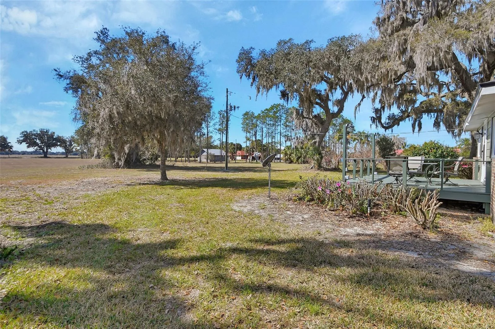 Yard View