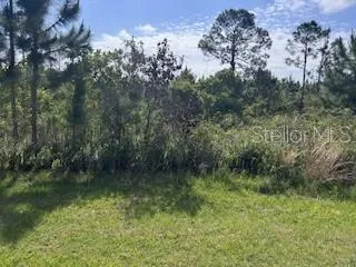 VIEW OF PROPERTY