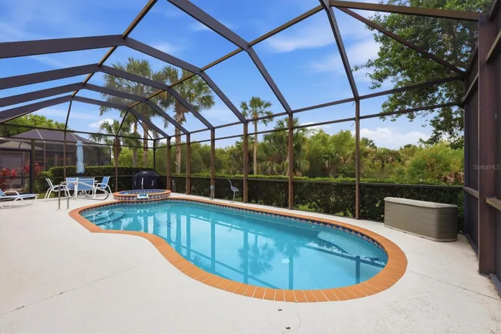Pool and Spa