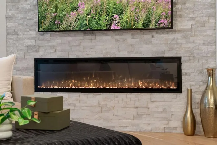Electric Fireplace