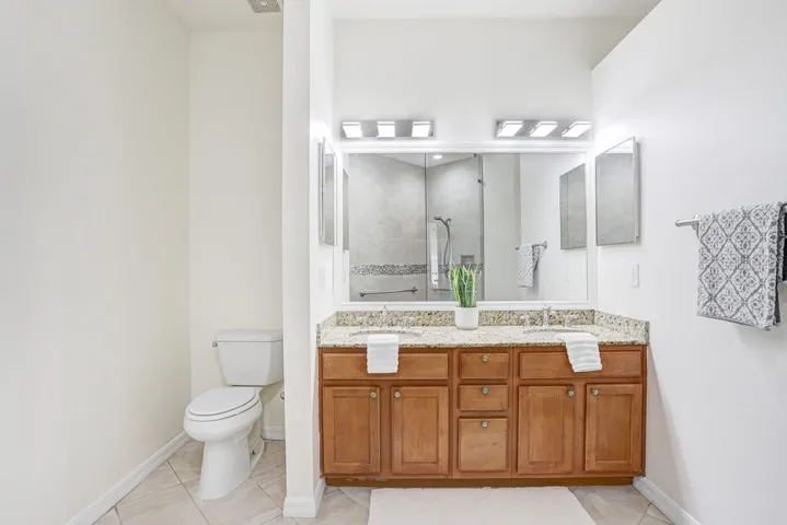 Vanity & Toilet