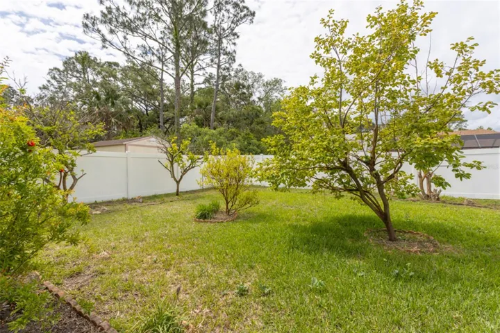 Rear yard